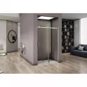 Душевая дверь 140 см Good Door Altair WTW-140-C-CH прозрачное