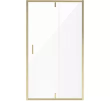 Душевая дверь 110 см Niagara NG-43-11AG прозрачное