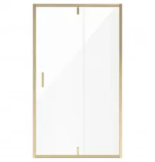 Душевая дверь 120 см Niagara NG-43-12AG прозрачное