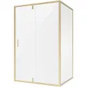 Душевой уголок 110х70 см Niagara NG-43-11AG-A70G прозрачное