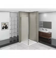 Боковая стенка 70 см Good Door Infinity SP-70-G-CH grape