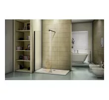 Неподвижная перегородка 120 см Good Door Walk In SP-120-C-B прозрачное