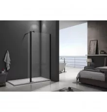 Неподвижная перегородка 100 см Good Door Walk In SP2-100-C-B прозрачное