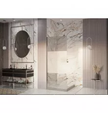 Неподвижная перегородка 70х200 см Ambassador Walk-in 15034130 интимато