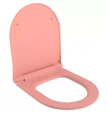 Сиденье для унитаза с микролифтом Ambassador Abner 102T20901S