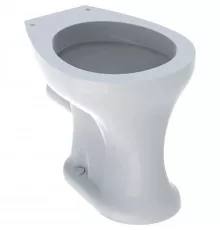 Приставной унитаз Geberit Bambini 211500000