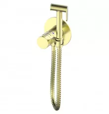Гигиенический душ AltroBagno Beni aggiuntivi AltroBagnoBM060403OrSp с термостатом, золотой матовый