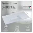 Раковина для ванной полувстраиваемая Uperwood Lotus 100 см, прямоугольная, белая матовая