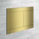 Приобрести Клавиша смыва Alcaplast FUN-BRASS Матовое золото в магазине сантехники Santeh-Crystal.ru