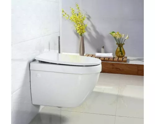 Купить Сиденье для унитаза BelBagno BB2031SC Белое с Микролифтом в магазине сантехники Santeh-Crystal.ru