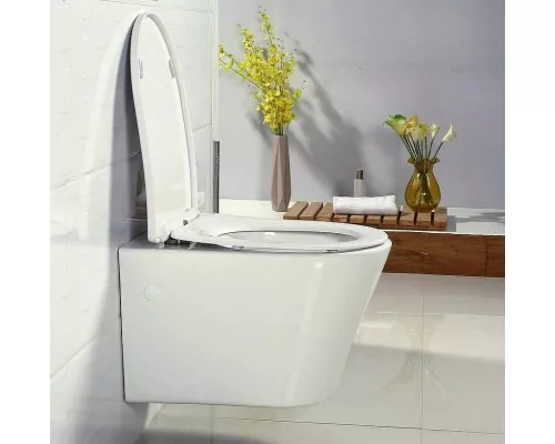 Купить Сиденье для унитаза BelBagno BB2031SC Белое с Микролифтом в магазине сантехники Santeh-Crystal.ru