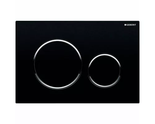 Заказать Клавиша смыва Geberit Sigma 20 NEW 115.882.14.1 Матовый черный в магазине сантехники Santeh-Crystal.ru