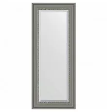 Зеркало Evoform Exclusive 136х56 BY 1255 с фацетом в багетной раме - Хамелеон 88 мм
