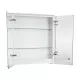 Приобрести Зеркальный шкаф Geberit Smyle Square 60 500.273.00.1 подвесной Белый в магазине сантехники Santeh-Crystal.ru