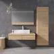 Заказать Зеркало Ravak Formy 100 X000000983 Белое в магазине сантехники Santeh-Crystal.ru