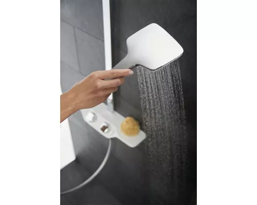 Приобрести Ручной душ Kludi Freshline 6450005-00 Хром Белый в магазине сантехники Santeh-Crystal.ru