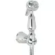 Купить Гигиенический душ Migliore Laura 20098 Хром в магазине сантехники Santeh-Crystal.ru