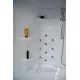 Заказать Душевой бокс Royal Bath ALP 170х100 RB170ALP-C-CH-L с гидромассажем стекло матовое задняя стенка Белая в магазине сантехники Santeh-Crystal.ru