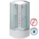 Заказать Душевая кабина Niagara Classic 100x100 NG-2309-14BKG с гидромассажем в магазине сантехники Santeh-Crystal.ru