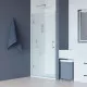 Заказать Душевая дверь RGW Hotel HO-011 60 350601106-11 профиль Хром стекло прозрачное в магазине сантехники Santeh-Crystal.ru