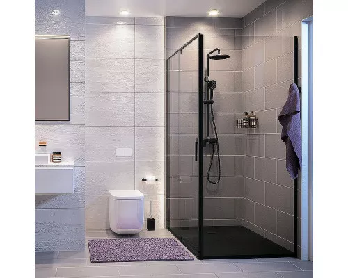 Заказать Душевая стенка WasserKRAFT Dill 61S10-RP100/Elbe 74P10-RP100 100 61S10-RP100/74P10-RP100 профиль Черный матовый стекло прозрачное в магазине сантехники Santeh-Crystal.ru