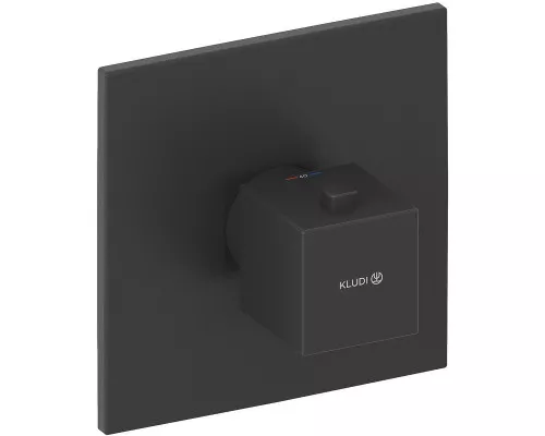 Смеситель для душа Kludi Decus 547393975 с термостатом Черный матовый