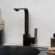 Приобрести Смеситель для кухни WasserKRAFT Abens 2007 Чёрный матовый в магазине сантехники Santeh-Crystal.ru