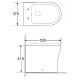 Унитаз BelBagno Ancona BB1224CBR-P приставной без сиденья