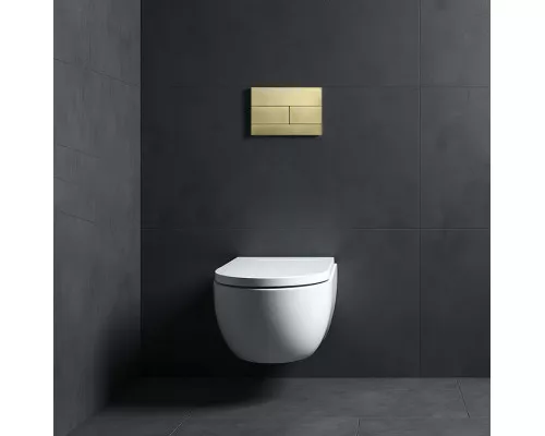 Кнопка смыва для инсталляции WONZON & WOGHAND, Брашированное золото (WW-IB235-BG)