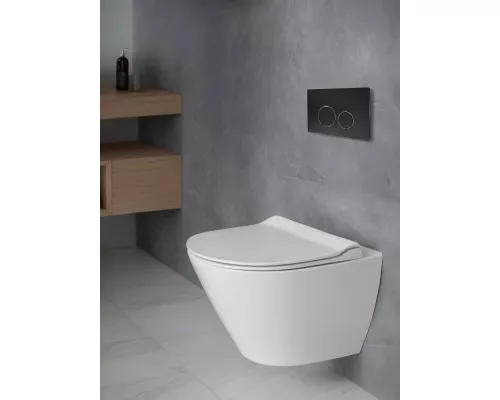 Кнопка смыва AltroBagno PFP 005DQ