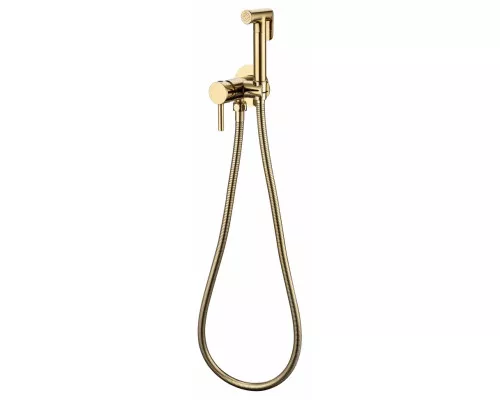 Смеситель встраиваемый с гигиеническим душем Grocenberg GB001 Золото