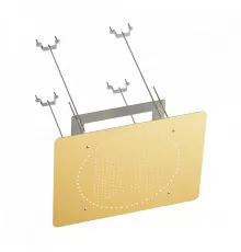 Лейка верхняя потолочная Raglo R452.03.03 для душа 590*480мм 2 режима прямоугольная нержавеющая сталь, сатин золотой