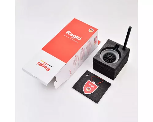 Ёршик для унитаза Raglo R300.10.06 с держателем,черный