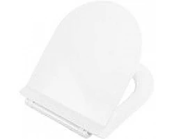 Сиденье для унитаза с микролифтом BelBagno Ricco BB275SC