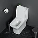 Унитаз-моноблок с сиденьем дюропласт soft close, P-trap BelBagno NEON BB8617CPR-MN/SC