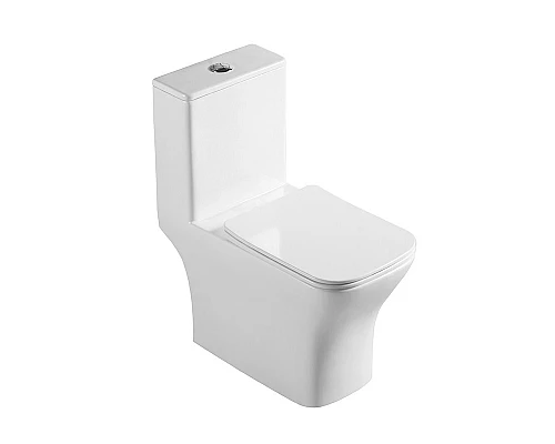 Унитаз-моноблок с сиденьем дюропласт soft close, P-trap BelBagno NEON BB8617CPR-MN/SC
