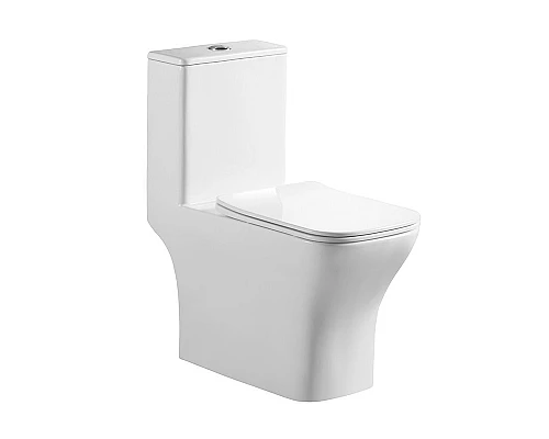 Унитаз-моноблок с сиденьем дюропласт soft close, P-trap BelBagno NEON BB8617CPR-MN/SC