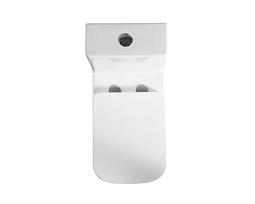 Унитаз-моноблок с сиденьем дюропласт soft close, P-trap BelBagno NEON BB8617CPR-MN/SC