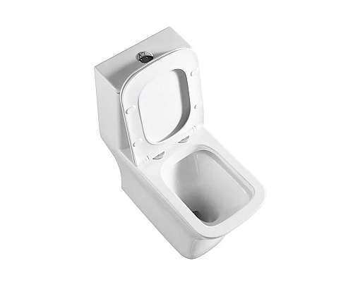 Унитаз-моноблок с сиденьем дюропласт soft close, P-trap BelBagno NEON BB8617CPR-MN/SC