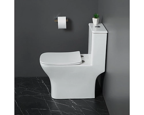 Унитаз-моноблок с сиденьем дюропласт soft close, P-trap BelBagno NEON BB8617CPR-MN/SC
