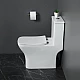 Унитаз-моноблок с сиденьем дюропласт soft close, P-trap BelBagno NEON BB8617CPR-MN/SC