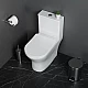 Унитаз-моноблок с сиденьем дюропласт soft close, P-trap BelBagno LOUNGE BB8618CPR-MN/SC