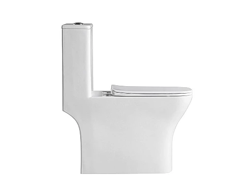 Унитаз-моноблок с сиденьем дюропласт soft close, P-trap BelBagno NEON BB8617CPR-MN/SC