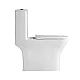 Унитаз-моноблок с сиденьем дюропласт soft close, P-trap BelBagno NEON BB8617CPR-MN/SC