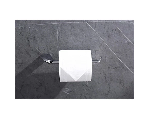 Приобрести Держатель туалетной бумаги Abber Nord AA1531 в магазине сантехники Santeh-Crystal.ru