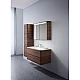 Купить Комплект мебели орех 100 см Am.Pm Sensation M30FHX1002NF + M30WPC1001WG + M30MCX1001NF в магазине сантехники Santeh-Crystal.ru