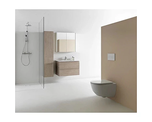 Заказать Зеркальный шкаф 80х75 см Laufen Frame 25 4.0850.3.900.144.1 в магазине сантехники Santeh-Crystal.ru