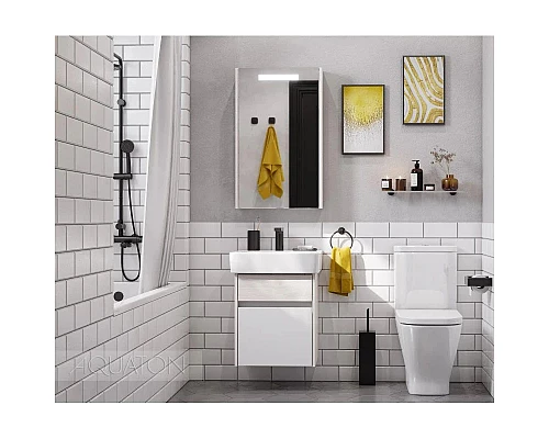 Приобрести Зеркальный шкаф 50х81 см ясень фабрик L Акватон Верди 1A195802VDAV0 в магазине сантехники Santeh-Crystal.ru