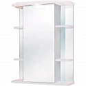 Зеркальный шкаф 60х71,2 см белый глянец R Onika Глория 206008