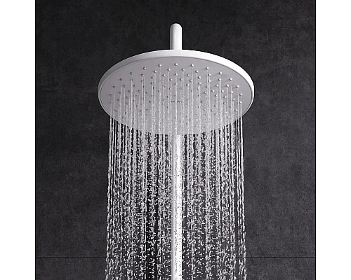 Купить Душевая стойка 220 мм AM.PM X-Joy F43885A14 в магазине сантехники Santeh-Crystal.ru